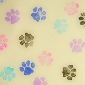 Meet your Posher, Liz